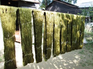 Natural Silk Yarn for making Fair Trade Scarf