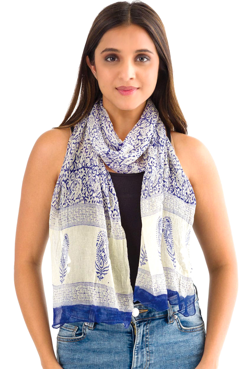 Sheela Blue Chiffon Scarf