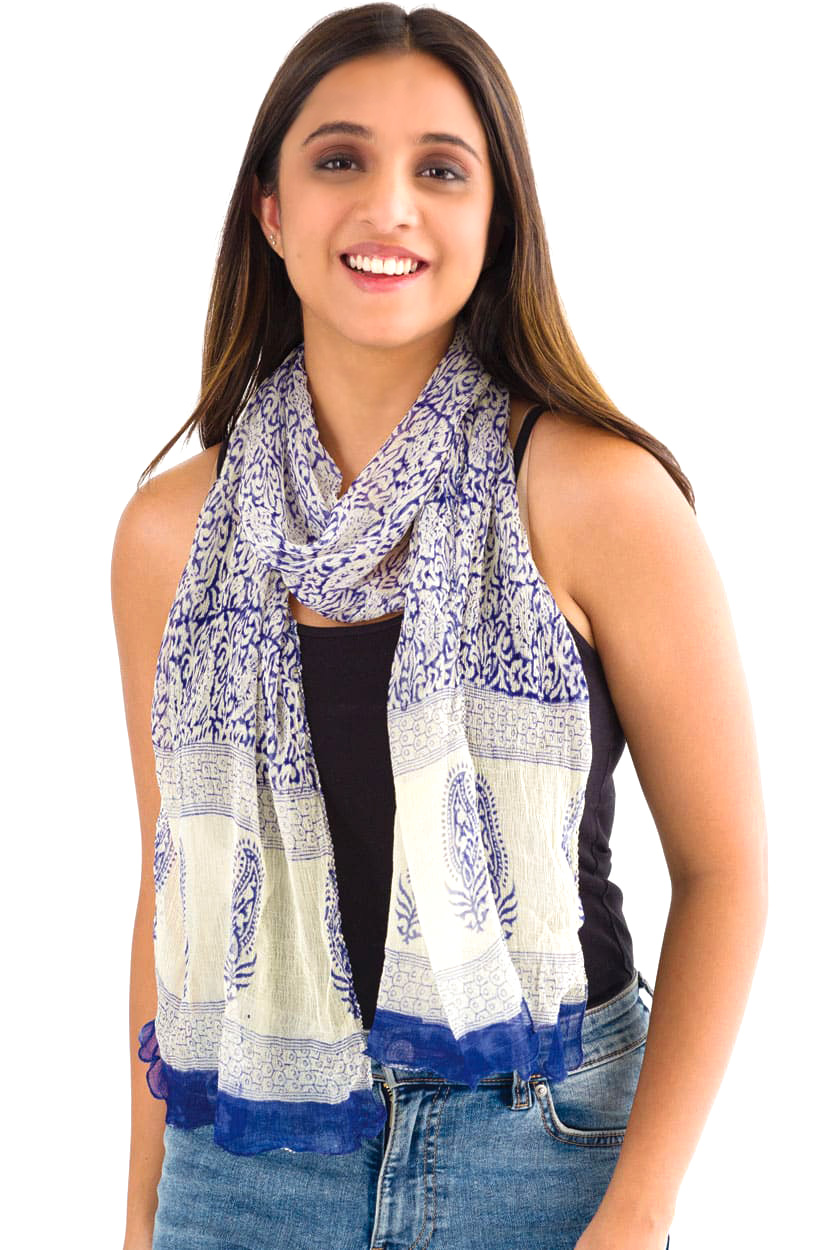 Sheela Blue Chiffon Scarf