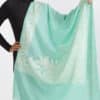 Geeta Aqua Embroidered Shawl